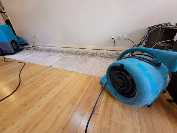 Professional Basement Flood Cleanup technician working in Carriere, MS